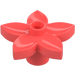 Duplo Coral Flower with 5 Angular Petals (6510 / 52639)