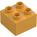 Duplo Curry Mattoncino 2 x 2 (3437 / 89461)