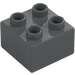 Duplo Gris Pierre Foncé Brique 2 x 2 (3437 / 89461)