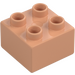 Duplo Carne Mattoncino 2 x 2 (3437 / 89461)