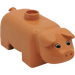 Duplo Cielisty Pig z Oczy z Pupils