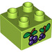 Duplo Lime Mattoncino 2 x 2 con Grapes (3437 / 15868)