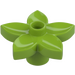 Duplo Lime Flower with 5 Angular Petals (6510 / 52639)