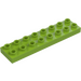 Дупло Лайм Плоча 2 x 8 (44524)