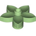 Duplo Vert moyen Fleur avec 5 Angular Pétales (6510 / 52639)