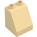 Duplo Tan Slope 2 x 2 x 2 (70676)