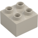 Duplo Very Light Gray Brick 2 x 2 (3437 / 89461)