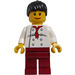 LEGO Advanced Models Minifigure