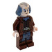 LEGO Argus Filch minifiguur