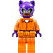 LEGO Arkham Catwoman with Orange Jumpsuit Minifigure