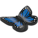 LEGO Negro Mariposa (Liso) con Azul y Blanco (80674 / 103358)