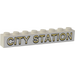 LEGO Stein 1 x 8 mit &#039;CITY STATION&#039; Aufkleber (3008)