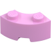 LEGO Bright Pink Brick 2 x 2 Round Corner with Stud Notch and Reinforced Underside (85080)