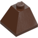 LEGO Brown Slope 2 x 2 (45°) Corner (3045)