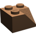 LEGO Braun Steigung 2 x 2 (45°) mit Doppelt Concave (Raue Oberfläche) (3046 / 4723)