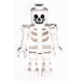 LEGO City of Stiix Skeleton Minifigure