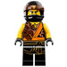 LEGO Cole Minifigure