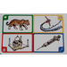 LEGO Creationary Game Card with Tiger