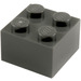 LEGO Dark Gray Brick 2 x 2 (3003)