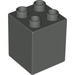 LEGO Dark Gray Duplo Brick 2 x 2 x 2 (31110)