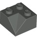 LEGO Dunkelgrau Steigung 2 x 2 (45°) mit Doppelt Concave (Raue Oberfläche) (3046 / 4723)