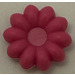 LEGO Dark Pink Clikits Daisy Small with 10 Petals (45456 / 46282)