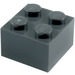 LEGO Dark Stone Gray Brick 2 x 2 (3003)