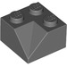 LEGO Dark Stone Gray Slope 2 x 2 (45°) Double Concave (Smooth Surface) (3046)
