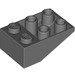 LEGO Donker Steengrijs Helling 2 x 3 (25°) Omgekeerd zonder verbindingen tussen noppen (3747)
