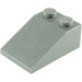 LEGO Gris pierre foncé Pente 2 x 3 (25°) avec surface rugueuse (3298)