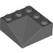 LEGO Gris pierre foncé Pente 3 x 3 (25°) Double Concave (99301)