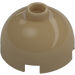 LEGO Dark Tan Brick 2 x 2 Round with Dome Top (Safety Stud, Axle Holder) (3262 / 30367)