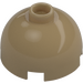 LEGO Dark Tan Brick 2 x 2 Round with Dome Top (with Axle Holder) (3262 / 30367)