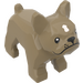 LEGO Dark Tan Dog - French Bulldog with White Hair Patch (32892 / 79490)