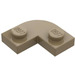 LEGO Dark Tan Plate 2 x 2 Round Corner (79491)