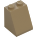 LEGO Dark Tan Slope 2 x 2 x 2 (65°) with Bottom Tube (3678)