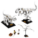 LEGO Dinosaur Fossils Set 21320