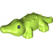 LEGO Duplo Lime Crocodile (1352)