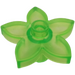 LEGO Duplo Transparent Neon Green Flower with 5 Angular Petals (6510 / 52639)