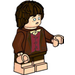 LEGO Frodo Baggins met Flesh Feet minifiguur