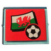 LEGO Glass for Window 1 x 4 x 3 with Welsh Flag and Football Sticker (without Circle) (3855)