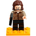 LEGO Harry Potter Advent Calendar Set 76404-1 Subset Day 9 - Sirius Black with Azkaban Plaque