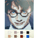 LEGO Harry Potter Mosaic Set 6268521