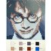 LEGO Harry Potter Mosaic 6268521