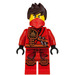 LEGO Kai - Tournament of Elements with Jungle Robe and Hair Minifigure