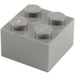 LEGO Lichtgrijs Steen 2 x 2 (3003 / 6223)