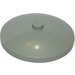 LEGO Light Gray Dish 4 x 4 (Solid Stud) (3960 / 30065)