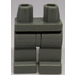 LEGO Light Gray Minifigure Hips with Light Gray Legs (3815 / 73200)