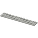 LEGO Light Gray Plate 2 x 12 (2445)