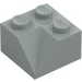 LEGO Light Gray Slope 2 x 2 (45°) with Double Concave (Rough Surface) (3046 / 4723)